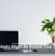 Houseplants Might Be Behind Your Sluggish Wi-Fi